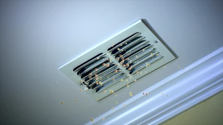 Best HVAC Duct Inspection Services  in Country Clu, FL