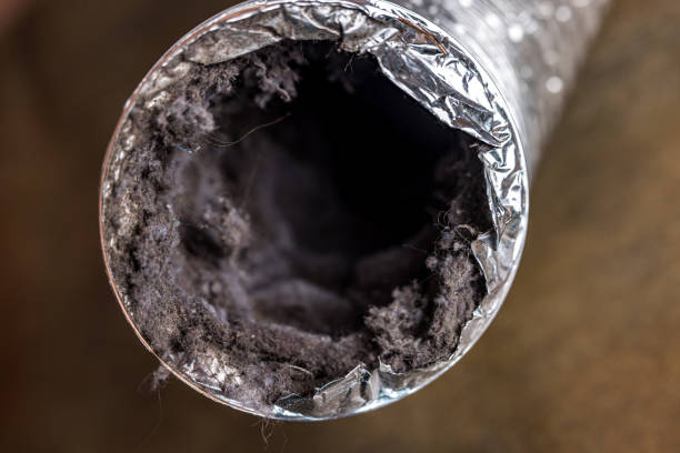Best HVAC System Cleaning  in Country Clu, FL